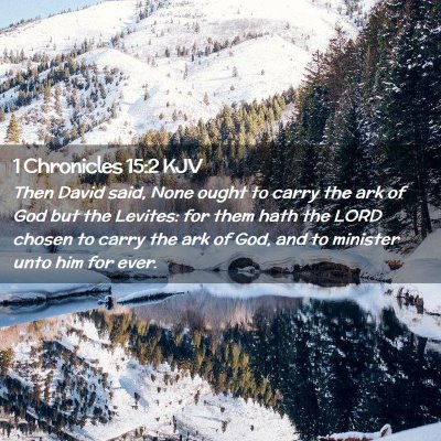 Picture 02 - 1 Chronicles 15:2 KJV - Then David said, None ought to carry the ark of - Bible Verse Picture