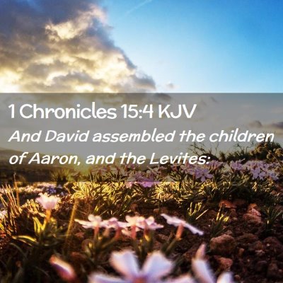 Picture 02 - 1 Chronicles 15:4 KJV - And David assembled the children of Aaron, and - Bible Verse Picture
