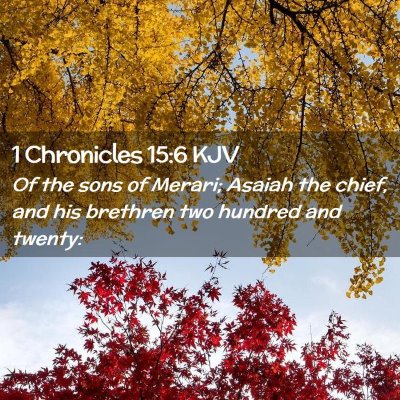 Picture 02 - 1 Chronicles 15:6 KJV - Of the sons of Merari; Asaiah the chief, and his - Bible Verse Picture