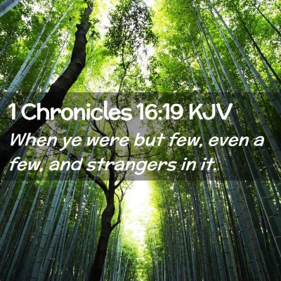 Picture 02 - 1 Chronicles 16:19 KJV - When ye were but few, even a few, and strangers - Bible Verse Picture