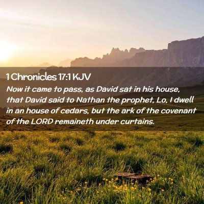 Picture 02 - 1 Chronicles 17:1 KJV - Now it came to pass, as David sat in his house, - Bible Verse Picture