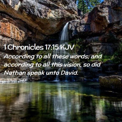 Picture 02 - 1 Chronicles 17:15 KJV - According to all these words, and according to - Bible Verse Picture