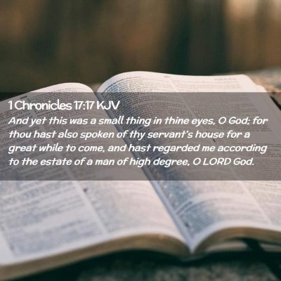Picture 02 - 1 Chronicles 17:17 KJV - And yet this was a small thing in thine eyes, O - Bible Verse Picture