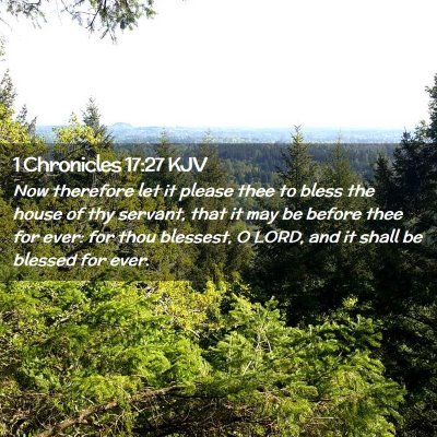 Picture 02 - 1 Chronicles 17:27 KJV - Now therefore let it please thee to bless the - Bible Verse Picture