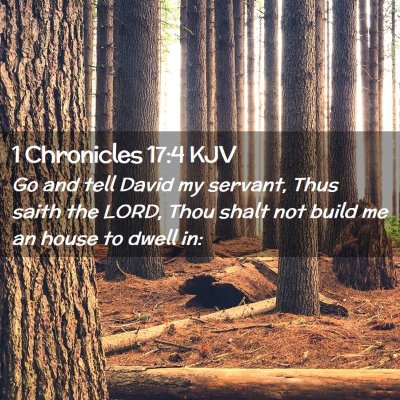 Picture 02 - 1 Chronicles 17:4 KJV - Go and tell David my servant, Thus saith the - Bible Verse Picture