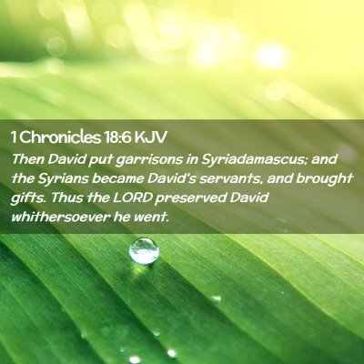 Picture 02 - 1 Chronicles 18:6 KJV - Then David put garrisons in Syriadamascus; and - Bible Verse Picture