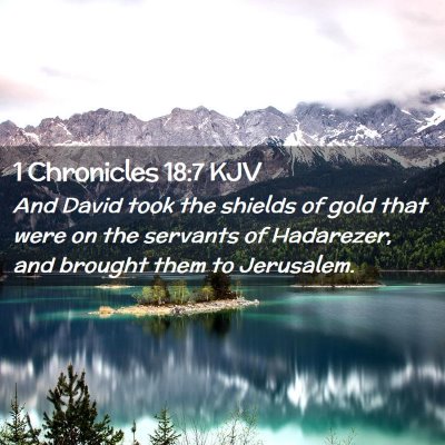 Picture 02 - 1 Chronicles 18:7 KJV - And David took the shields of gold that were on - Bible Verse Picture