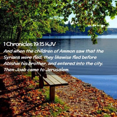 Picture 02 - 1 Chronicles 19:15 KJV - And when the children of Ammon saw that the - Bible Verse Picture