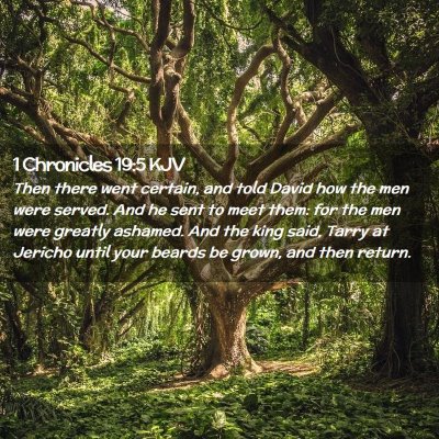 Picture 02 - 1 Chronicles 19:5 KJV - Then there went certain, and told David how the - Bible Verse Picture