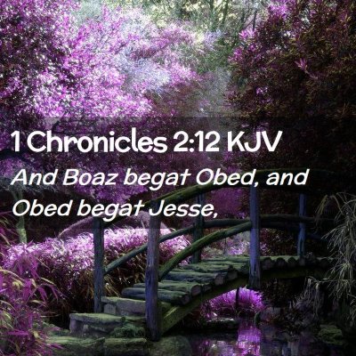 Picture 02 - 1 Chronicles 2:12 KJV - And Boaz begat Obed, and Obed begat - Bible Verse Picture