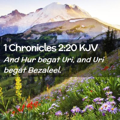 Picture 02 - 1 Chronicles 2:20 KJV - And Hur begat Uri, and Uri begat - Bible Verse Picture