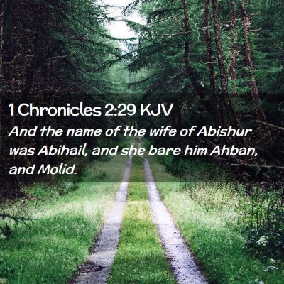 Picture 02 - 1 Chronicles 2:29 KJV - And the name of the wife of Abishur was Abihail, - Bible Verse Picture