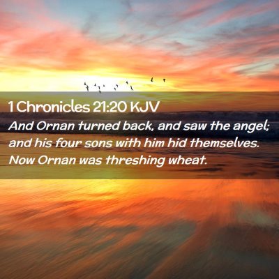 Picture 02 - 1 Chronicles 21:20 KJV - And Ornan turned back, and saw the angel; and his - Bible Verse Picture