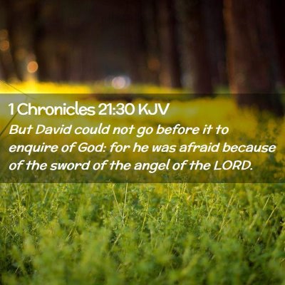 Picture 02 - 1 Chronicles 21:30 KJV - But David could not go before it to enquire of - Bible Verse Picture