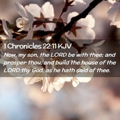 Picture 02 - 1 Chronicles 22:11 KJV - Now, my son, the LORD be with thee; and prosper - Bible Verse Picture