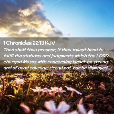 Picture 02 - 1 Chronicles 22:13 KJV - Then shalt thou prosper, if thou takest heed to - Bible Verse Picture