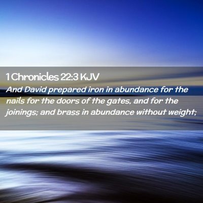 Picture 02 - 1 Chronicles 22:3 KJV - And David prepared iron in abundance for the - Bible Verse Picture