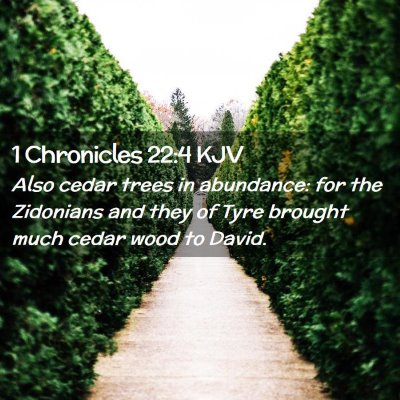 Picture 02 - 1 Chronicles 22:4 KJV - Also cedar trees in abundance: for the Zidonians - Bible Verse Picture