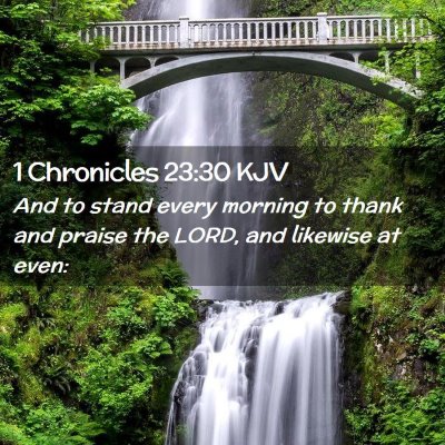 Picture 02 - 1 Chronicles 23:30 KJV - And to stand every morning to thank and praise - Bible Verse Picture