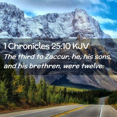 Picture 02 - 1 Chronicles 25:10 KJV - The third to Zaccur, he, his sons, and his - Bible Verse Picture