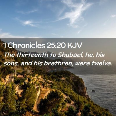 Picture 02 - 1 Chronicles 25:20 KJV - The thirteenth to Shubael, he, his sons, and his - Bible Verse Picture