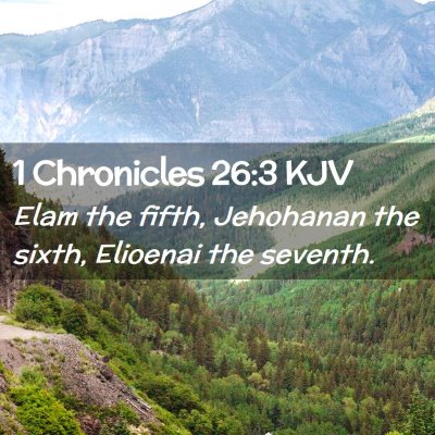 Picture 02 - 1 Chronicles 26:3 KJV - Elam the fifth, Jehohanan the sixth, Elioenai the - Bible Verse Picture