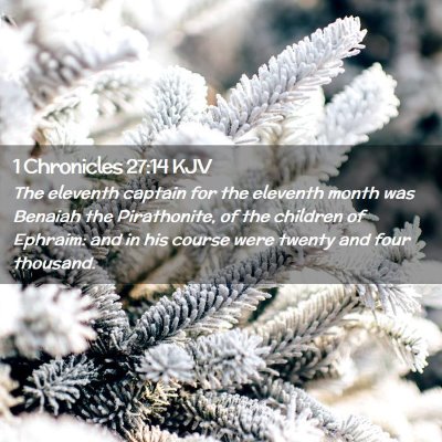 Picture 02 - 1 Chronicles 27:14 KJV - The eleventh captain for the eleventh month was - Bible Verse Picture