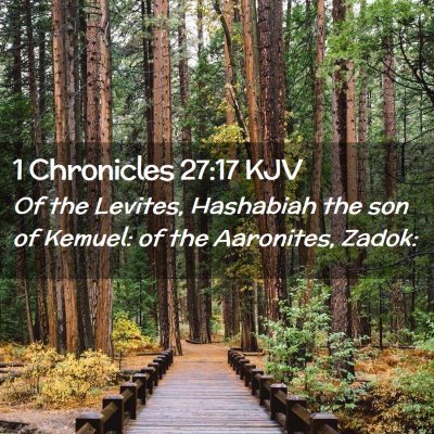 Picture 02 - 1 Chronicles 27:17 KJV - Of the Levites, Hashabiah the son of Kemuel: of - Bible Verse Picture