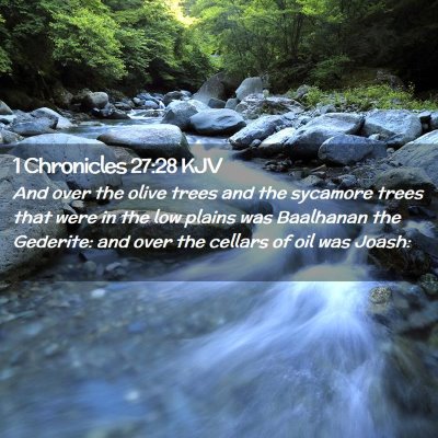 Picture 02 - 1 Chronicles 27:28 KJV - And over the olive trees and the sycamore trees - Bible Verse Picture
