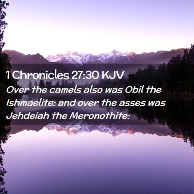 Picture 02 - 1 Chronicles 27:30 KJV - Over the camels also was Obil the Ishmaelite: and - Bible Verse Picture