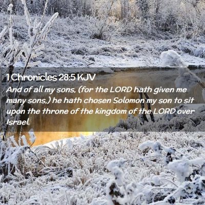 Picture 02 - 1 Chronicles 28:5 KJV - And of all my sons, (for the LORD hath given me - Bible Verse Picture