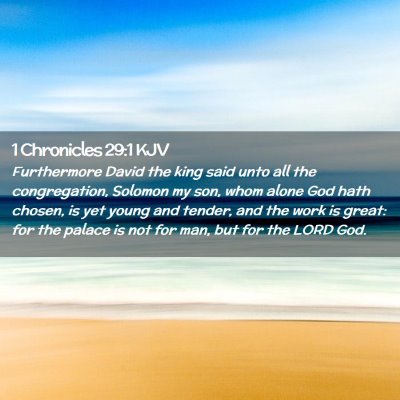Picture 02 - 1 Chronicles 29:1 KJV - Furthermore David the king said unto all the - Bible Verse Picture