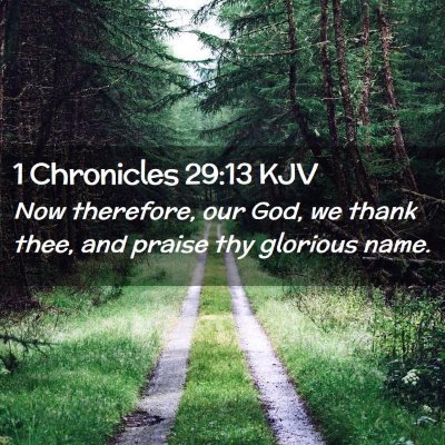 Picture 02 - 1 Chronicles 29:13 KJV - Now therefore, our God, we thank thee, and praise - Bible Verse Picture