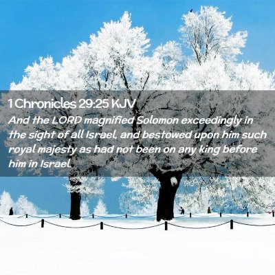 Picture 02 - 1 Chronicles 29:25 KJV - And the LORD magnified Solomon exceedingly in the - Bible Verse Picture