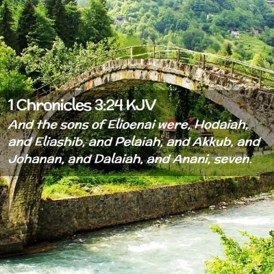 Picture 02 - 1 Chronicles 3:24 KJV - And the sons of Elioenai were, Hodaiah, and - Bible Verse Picture