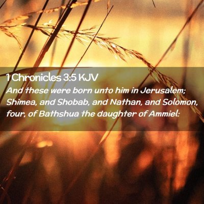 Picture 02 - 1 Chronicles 3:5 KJV - And these were born unto him in Jerusalem; - Bible Verse Picture