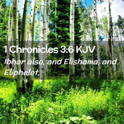 Picture 02 - 1 Chronicles 3:6 KJV - Ibhar also, and Elishama, and - Bible Verse Picture