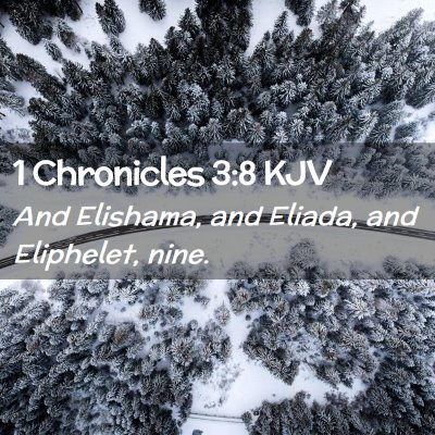 Picture 02 - 1 Chronicles 3:8 KJV - And Elishama, and Eliada, and Eliphelet, - Bible Verse Picture