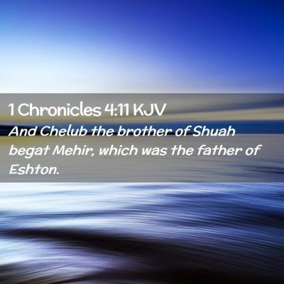 Picture 02 - 1 Chronicles 4:11 KJV - And Chelub the brother of Shuah begat Mehir, - Bible Verse Picture
