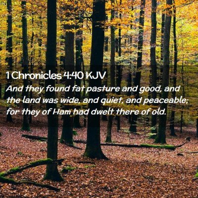 Picture 02 - 1 Chronicles 4:40 KJV - And they found fat pasture and good, and the land - Bible Verse Picture