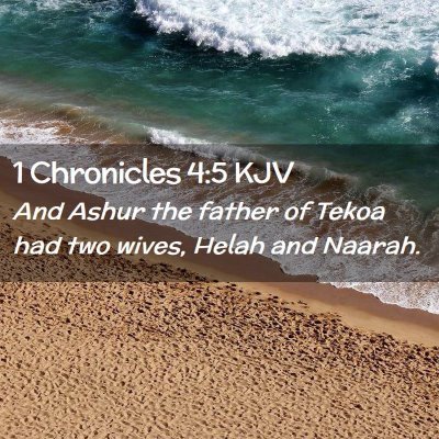 Picture 02 - 1 Chronicles 4:5 KJV - And Ashur the father of Tekoa had two wives, - Bible Verse Picture