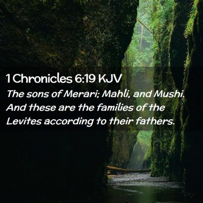 Picture 02 - 1 Chronicles 6:19 KJV - The sons of Merari; Mahli, and Mushi. And these - Bible Verse Picture