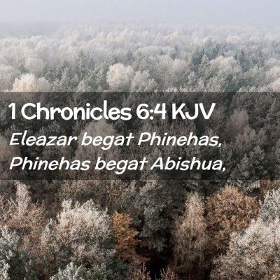 Picture 02 - 1 Chronicles 6:4 KJV - Eleazar begat Phinehas, Phinehas begat - Bible Verse Picture