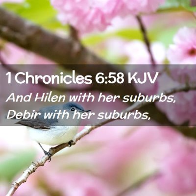 Picture 02 - 1 Chronicles 6:58 KJV - And Hilen with her suburbs, Debir with her - Bible Verse Picture