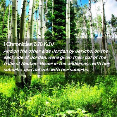 Picture 02 - 1 Chronicles 6:78 KJV - And on the other side Jordan by Jericho, on the - Bible Verse Picture