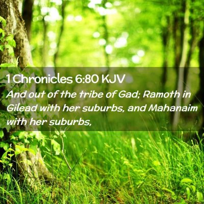 Picture 02 - 1 Chronicles 6:80 KJV - And out of the tribe of Gad; Ramoth in Gilead - Bible Verse Picture