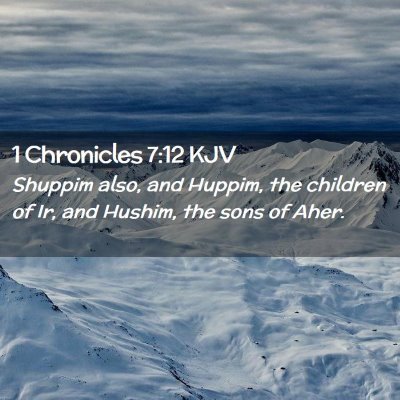 Picture 02 - 1 Chronicles 7:12 KJV - Shuppim also, and Huppim, the children of Ir, and - Bible Verse Picture