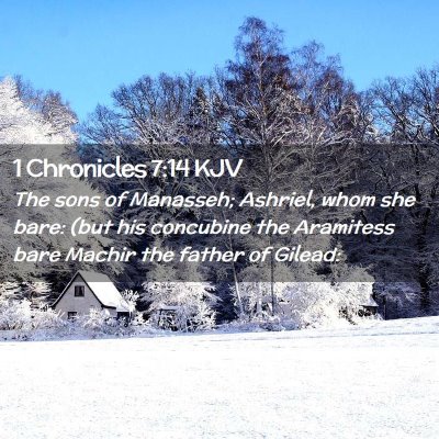 Picture 02 - 1 Chronicles 7:14 KJV - The sons of Manasseh; Ashriel, whom she bare: - Bible Verse Picture