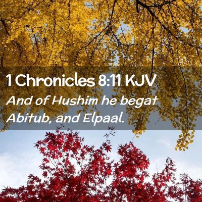 Picture 02 - 1 Chronicles 8:11 KJV - And of Hushim he begat Abitub, and - Bible Verse Picture