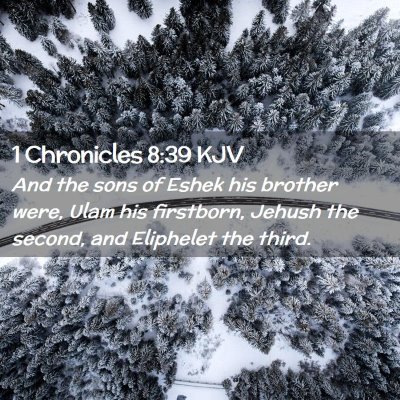 Picture 02 - 1 Chronicles 8:39 KJV - And the sons of Eshek his brother were, Ulam his - Bible Verse Picture
